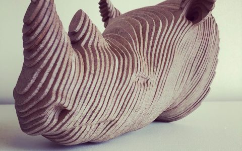 Rhino